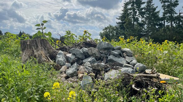 Das Bild zeigt das Ersatzquartier für Zauneidechsen, die entlang der Strecke leben. Das Bild zeigt das Ersatzquartier für Zauneidechsen, die entlang der Strecke leben.