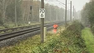 Bevor Kabel verlegt werden können, muss die Trasse freigeschnitten werden. 